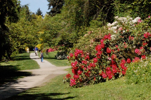 Wednesday Walks w/John Wott @ Washington Park Arboretum | Seattle | Washington | United States