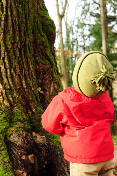 Parent/Child Nature Class - Bugs & Slugs @ Washington Park Arboretum | Seattle | Washington | United States