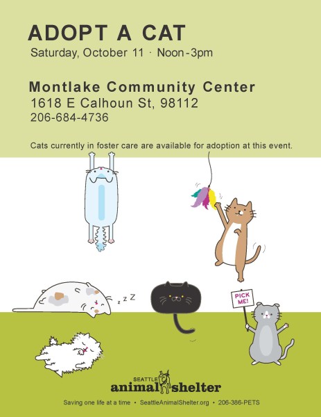 10 October 11 Adopt a Cat flyer