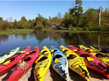 Kayak Tour @ Washington Park Arboretum