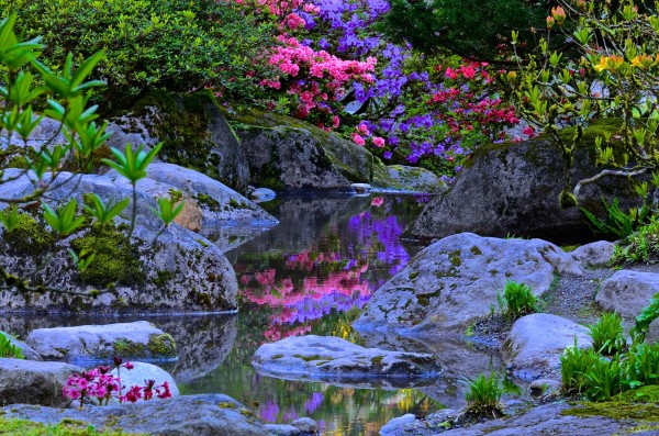 Haiku Day at the Seattle Japanese Garden @ Seattle Japanese Garden | Seattle | Washington | United States
