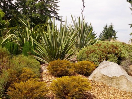 UW Botanic Gardens: A Closer Look: Pacific Connections Garden Tour @ Washington Park Arboretum |  |  | 