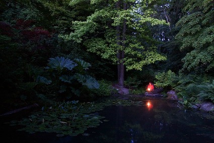 UW Botanic Gardens: Twilight Tram Tour @ Washington Park Arboretum | | |