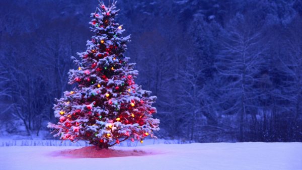 christmas-tree-hd-wallpapers-best-desktop-images-widescreen