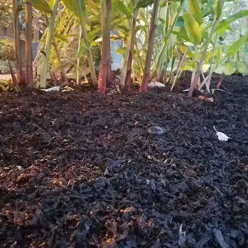 Mulch Matters @ Center for Urban Horticulture | Seattle | Washington | United States