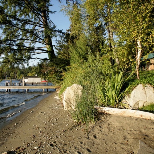 Green Shores for Homes Training Program @ UW Botanic Gardens, Center for Urban Horticulture | Seattle | Washington | United States