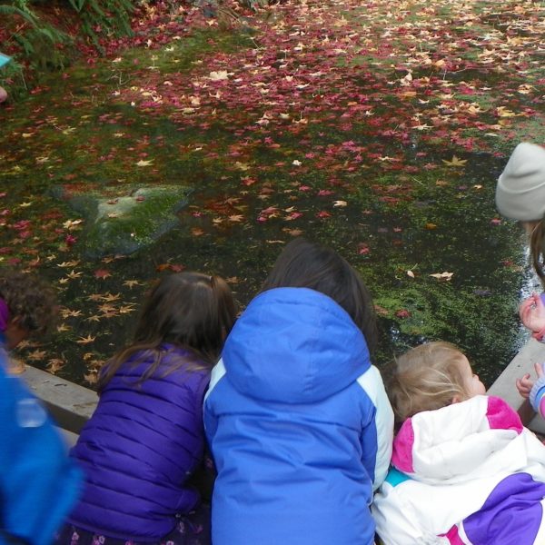Family Nature Class: Rain, Water, Mud @ Washington Park Arboretum | Seattle | Washington | United States